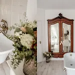 Hazai Provence كابولكش