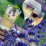 Hazai Provence فندق