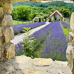 Hazai Provence 4* كابولكش