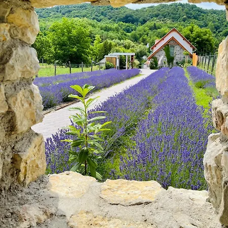 Hazai Provence 4* Kapolcs