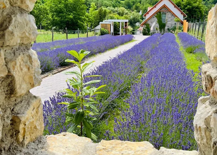 Hazai Provence 4* Kapolcs